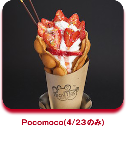 Pocomoco バブルワッフル