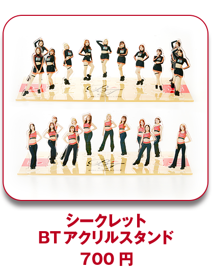シークレットBTアクリルスタンド
