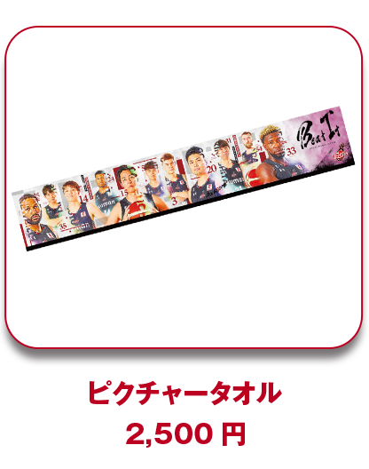 ピクチャータオル