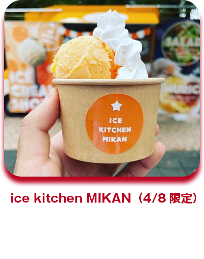 ice kitchen MIKAN アイスクリーム（シングル）